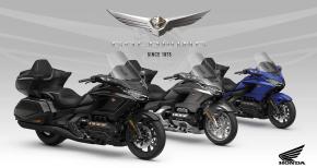 gold wing