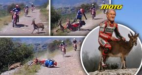 Carl Fogarty
