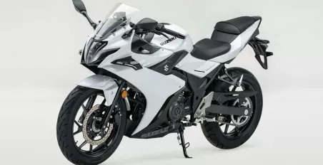 Suzuki 250